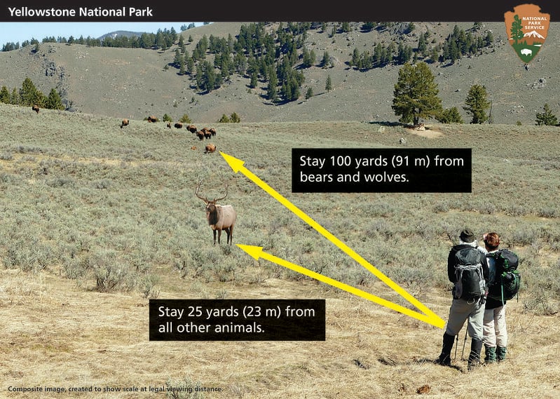 Wildlife_safety_distance_composite