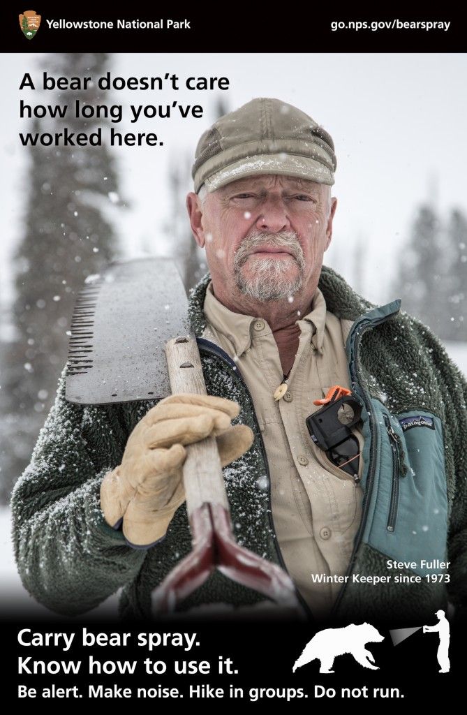 Winterkeeper Steve Fuller Yellowstone National Park A Bear Doesn't Care Poster