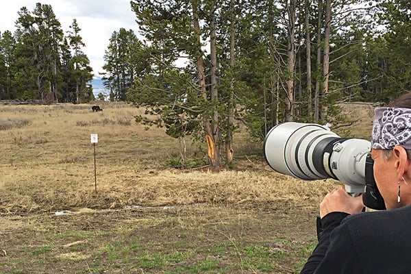 Photographing a grizzly from a safe distance