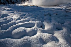 Snow-covered yellowstone