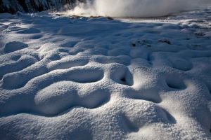 Snow-covered yellowstone