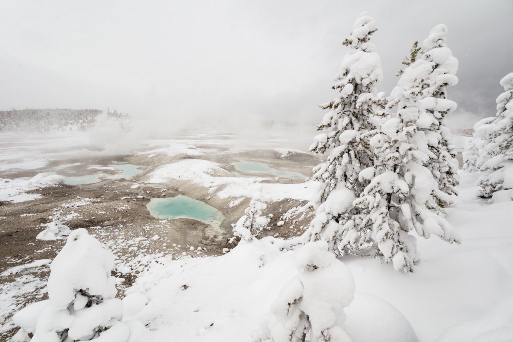 Porcelain Basin in winter