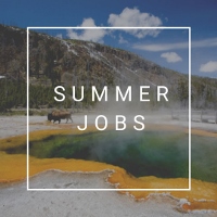 jobs yellowstone national park summer