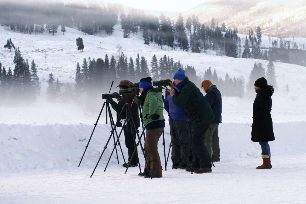 Group in a snowy field watching for wildlife