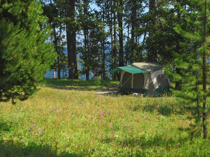 Campsite at Bridge Bay Campground