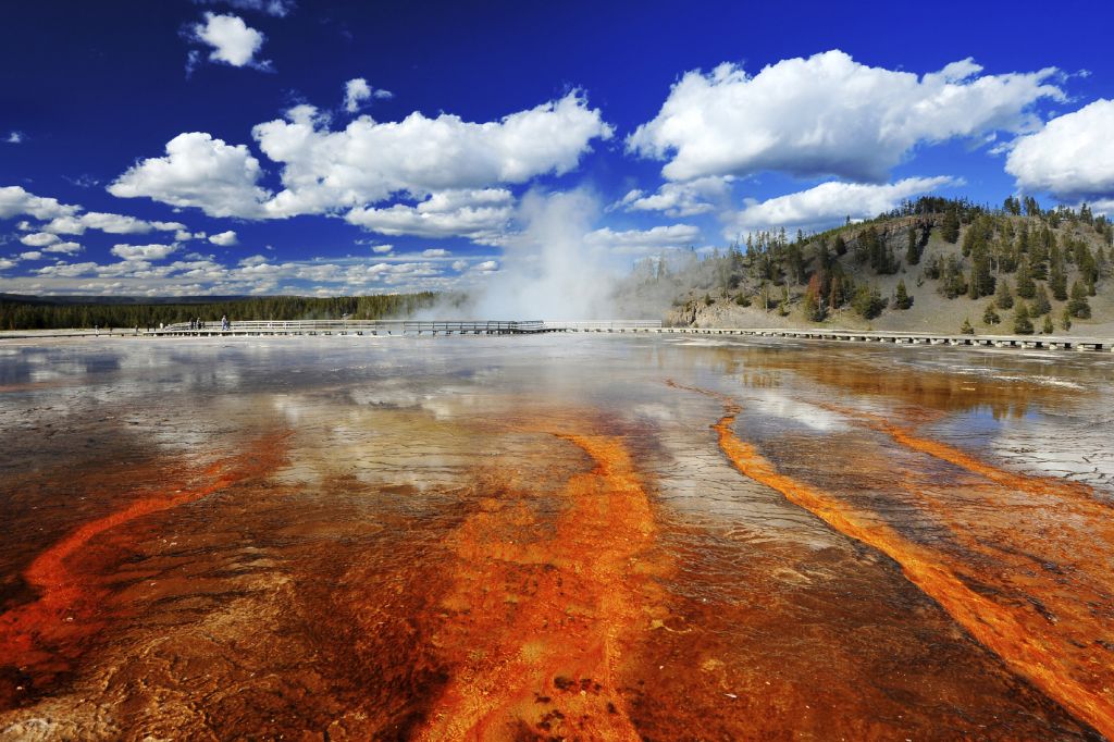 Red colors from Grand Prismatic Spring, Yellowstone National Park