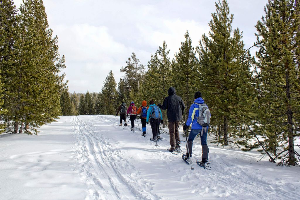 A group of six people take a winter snowshoe tour in Yellowstone National Park