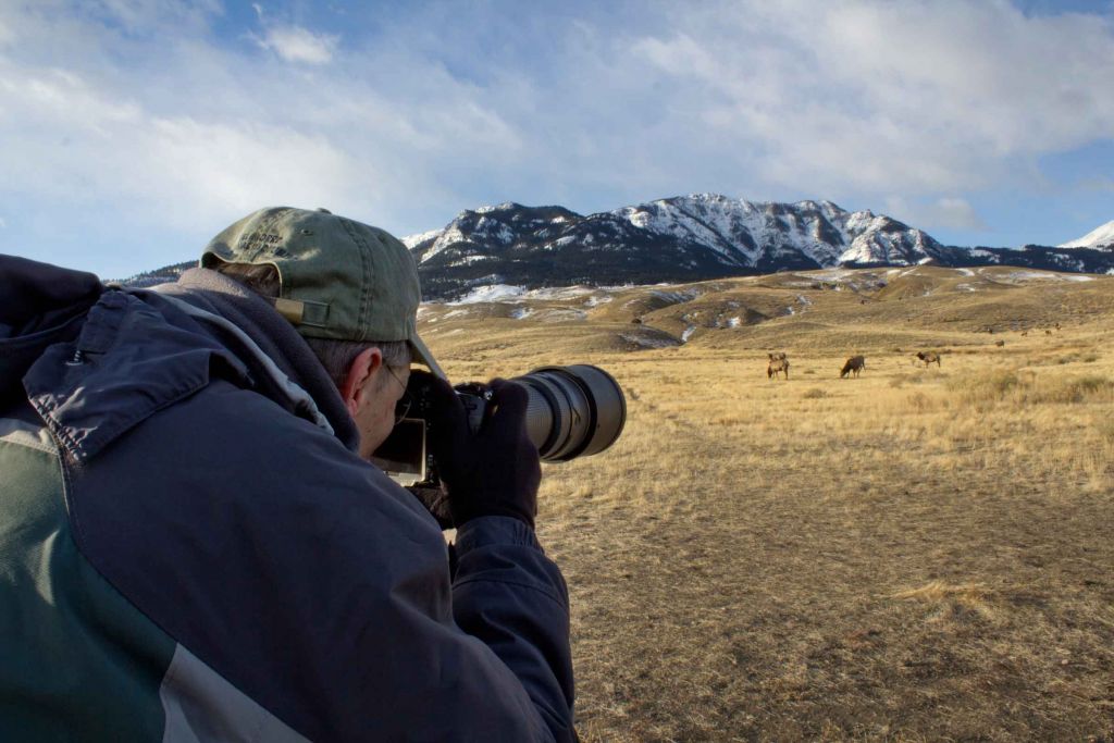 Photographer taking photos of wildlife at Yellowstone