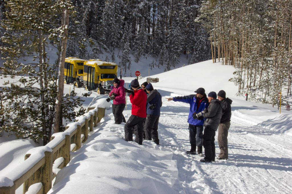 Photography group in winter