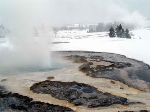 Winter geysers at Old Faithful