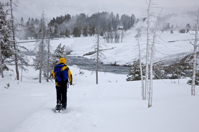 Snowshoer in Yellowstone