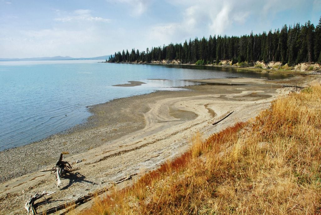 Yellowstone Lake shore