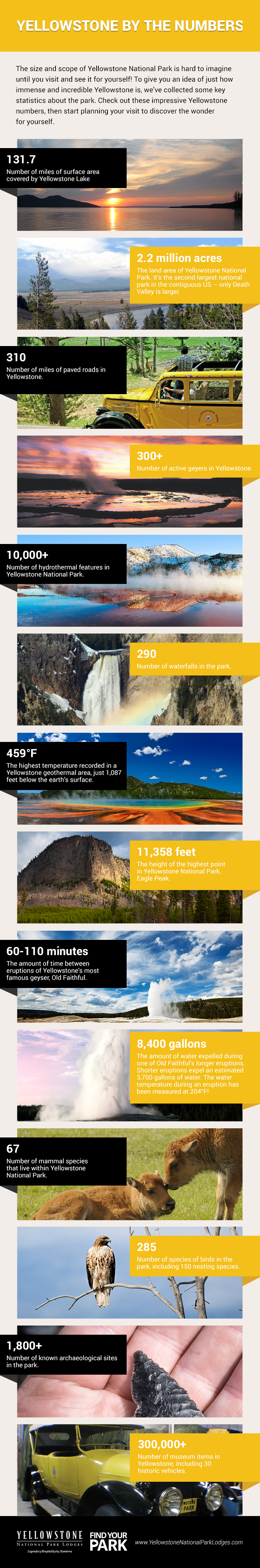 Infographic: Yellowstone Stats