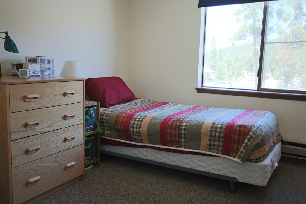 A dorm bed and chest of drawers