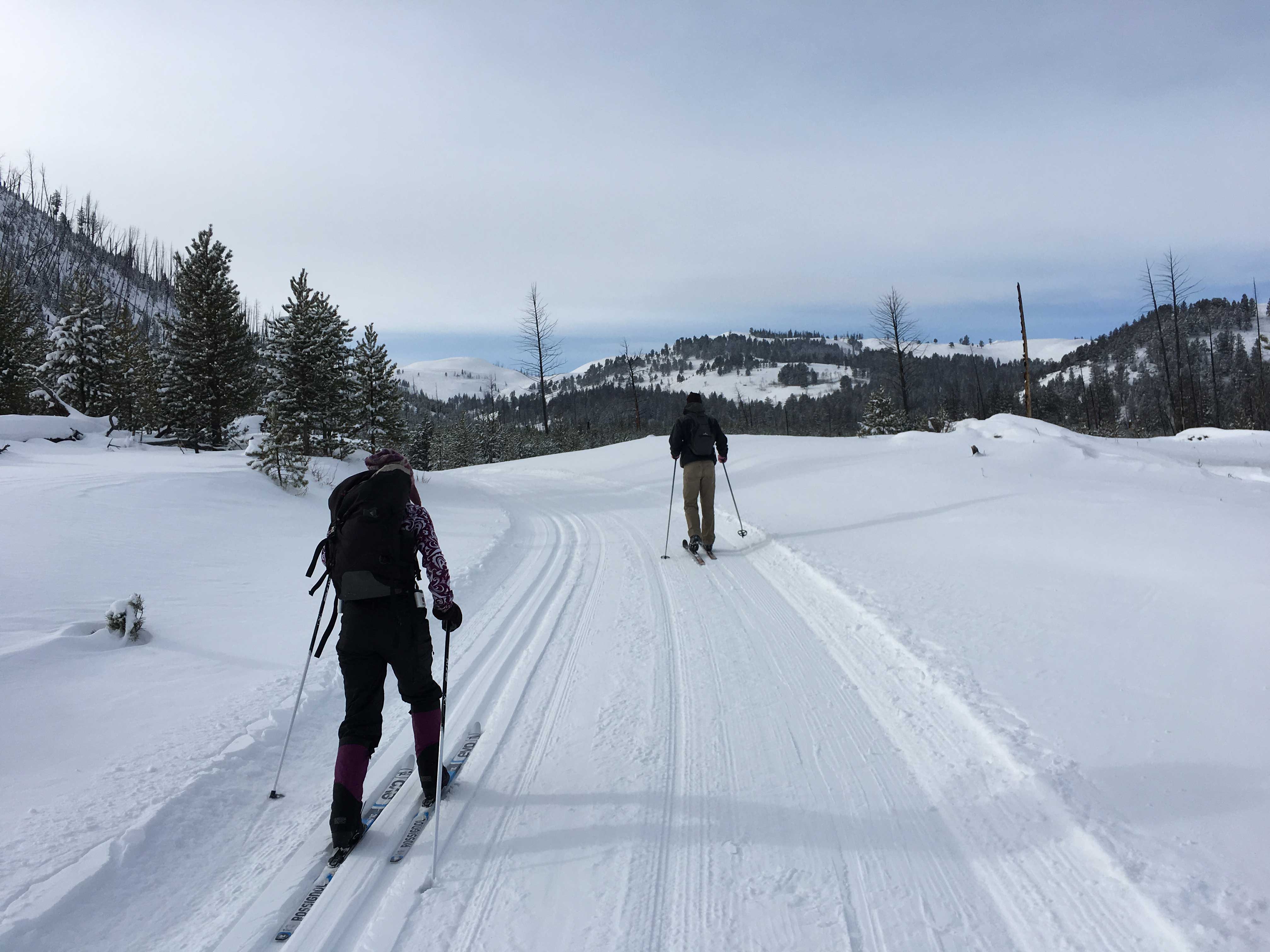 Blacktail Ski Trail