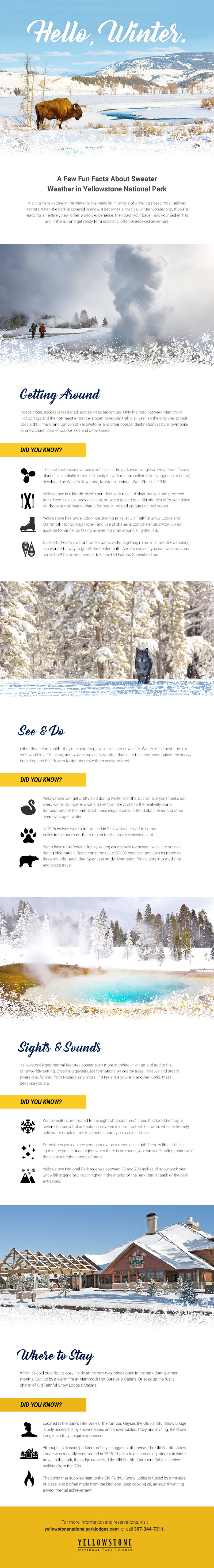 Yellowstone winter travel tips infographic