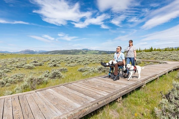 Exploring the Forces of the Northern Range boardwalk