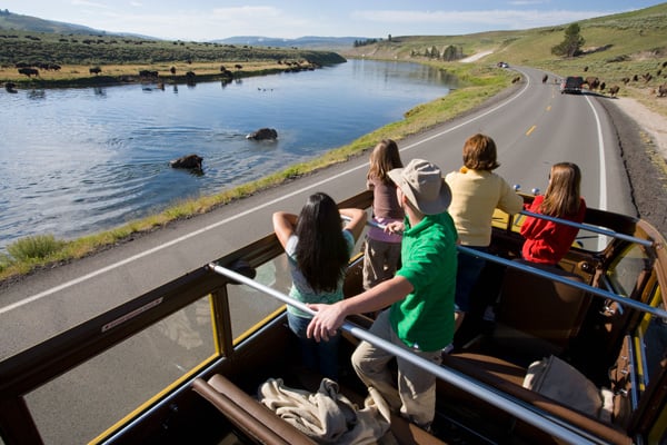 Yellowstone yellow bus tour