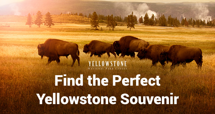 Choose your perfect Yellowstone souvenir.