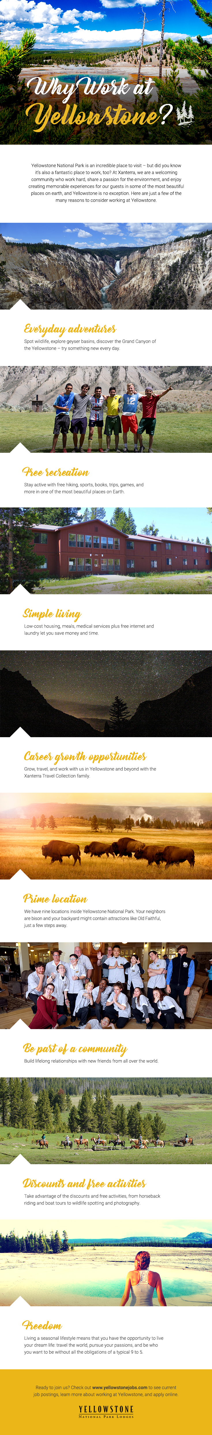 Reasons to Work in Yellowstone [Infographic]