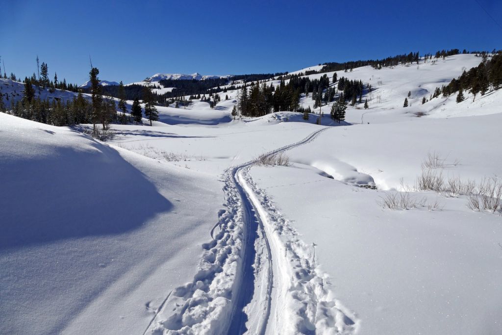 Cross-country skier tracks