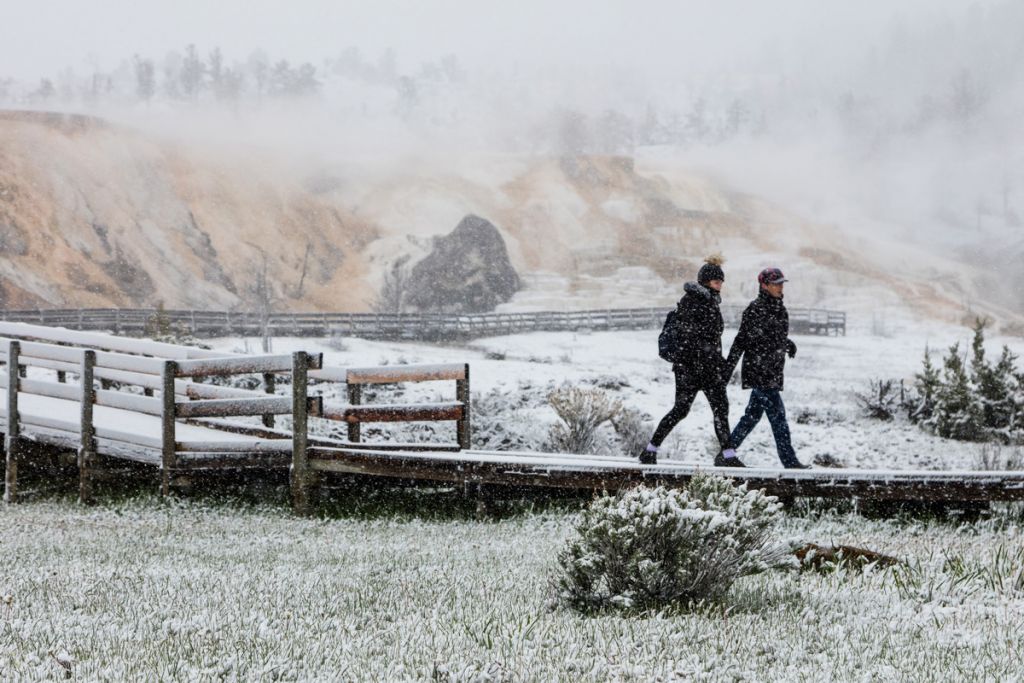 Snowy-spring-day-in-Mammoth-Hot-Springs