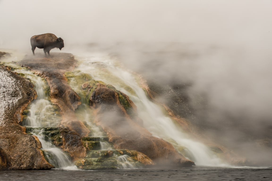 Yellowstone National Park Lodges A Nature Journal by Tom Murphy - The only  official in park lodging