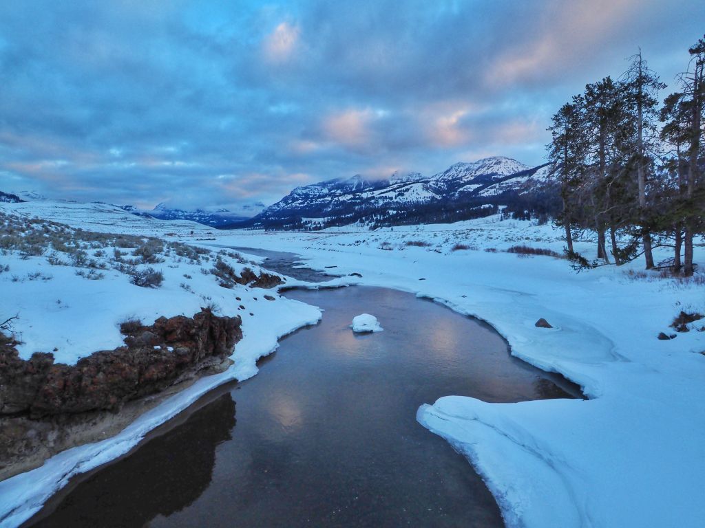 yellowstone northern range in winter