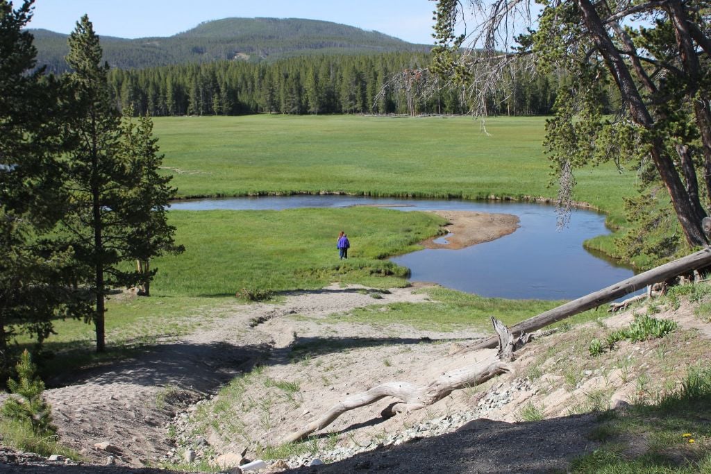 Visitors walking to Gibbon River from Norris Campground