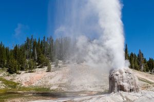 Lone Star Geyser on a sunny afternoon