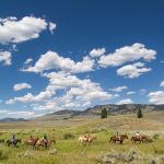 Horseback ride at Roosevelt Lodge