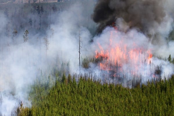 Maple Fire, August 15, 2016