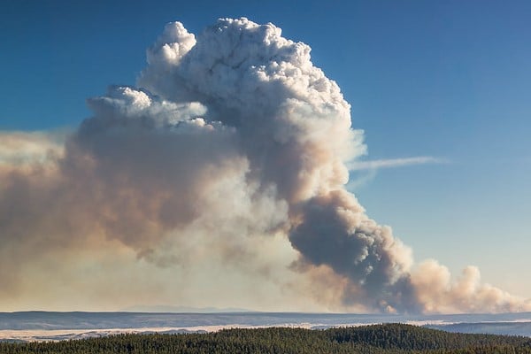 Spruce Fire from Dunraven Pass