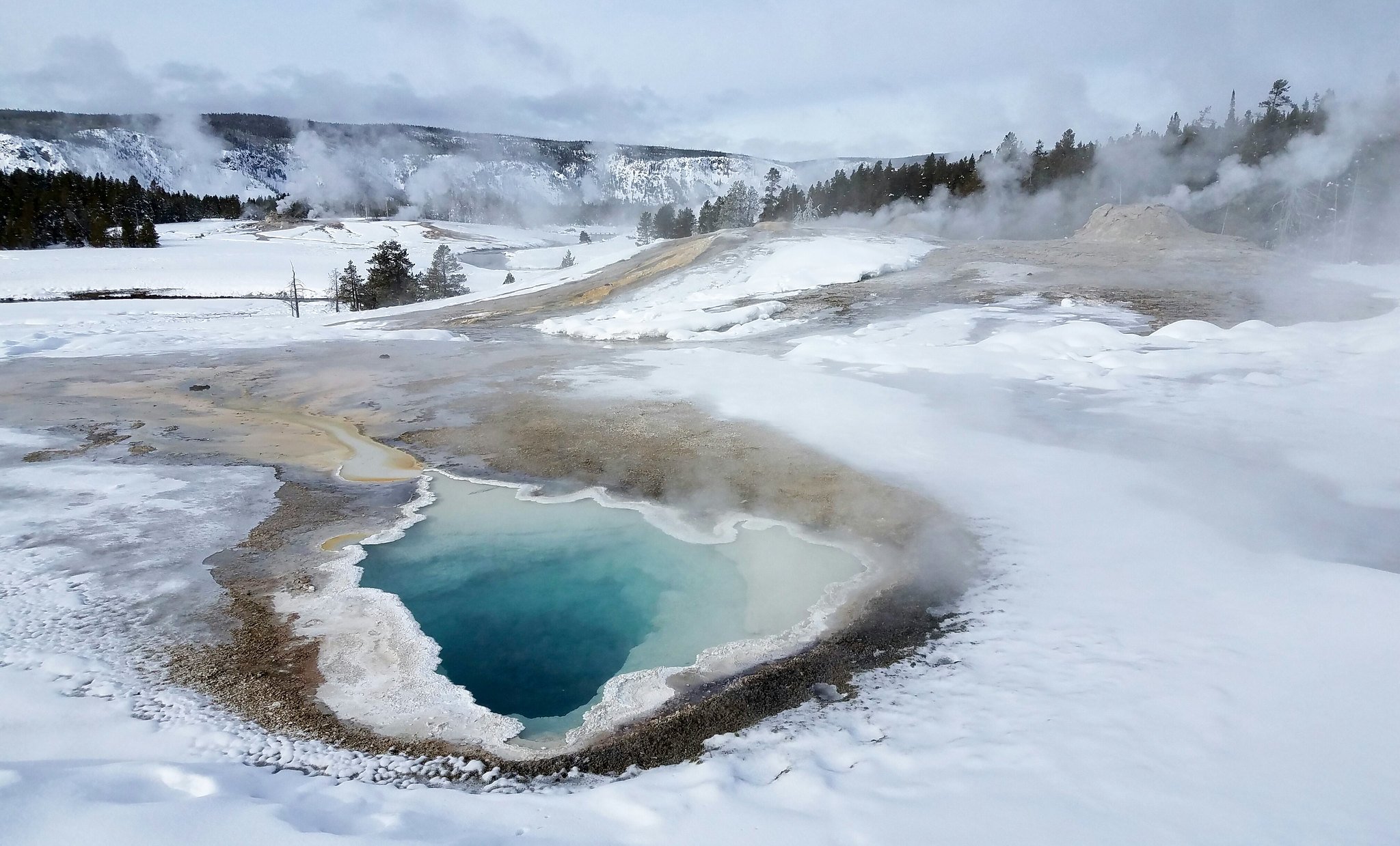 Heart Spring in Upper Geyser Basin