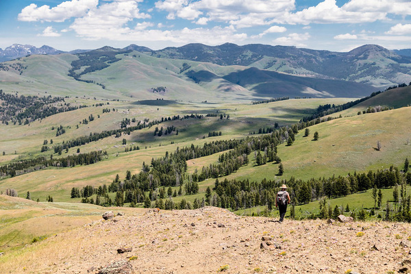 Hiker and Lamar Valley