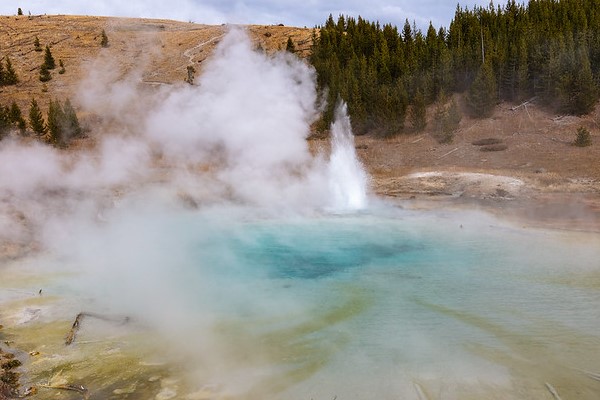 Imperial Geyser erupting on a cloudy fall afternoon