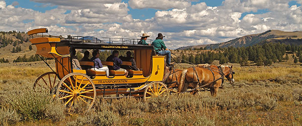 People on a stagecoach adventure