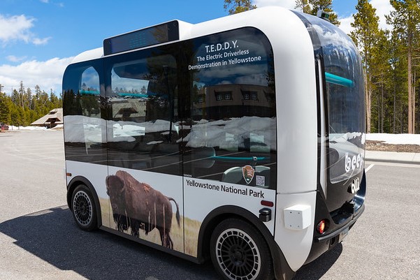 The Electric Driverless Demonstration in Yellowstone (T.E.D.D.Y.)