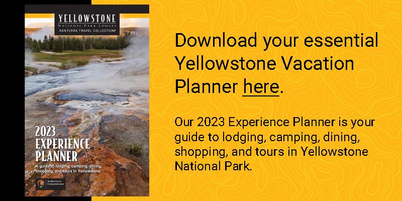 Download the 2023 Yellowstone Experience Planner