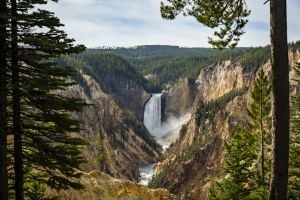 Lower Falls Grand Canyon of the Yellowstone