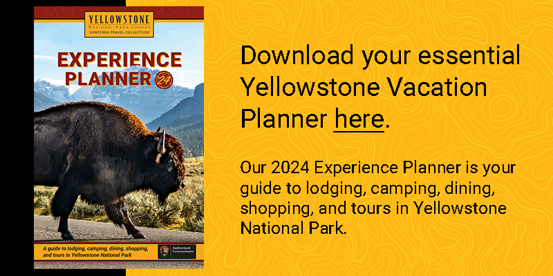 Download a Yellowstone Experience Planner