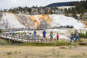 People exploring the boardwalks in Mammoth Hot Springs