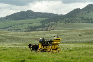 stagecoach in a valley