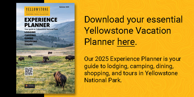 Download the Experience Planner