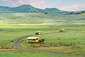 Horse drawn wagons in Pleasant Valley
