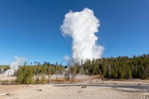 Steamboat Geyser