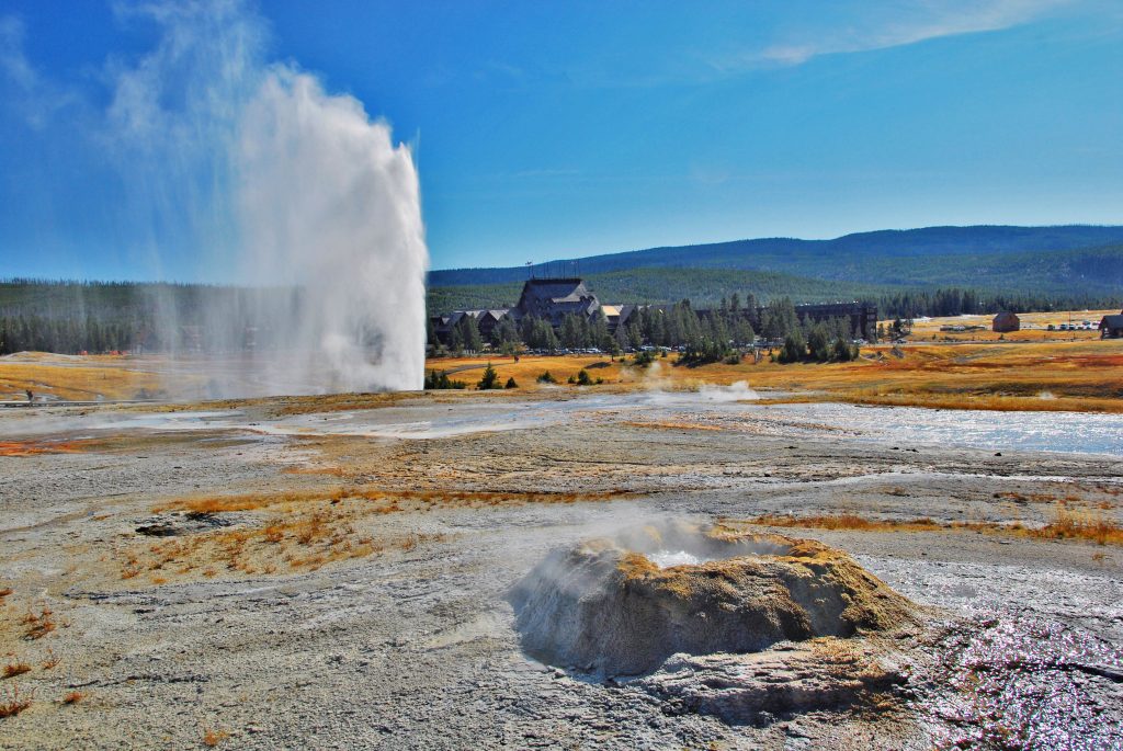 Upper Beehive Geyser Erupting