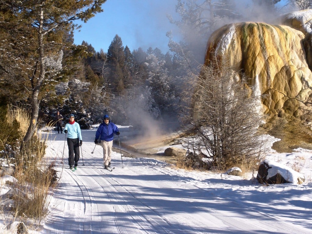 Nine reasons to visit Yellowstone National Park in winter