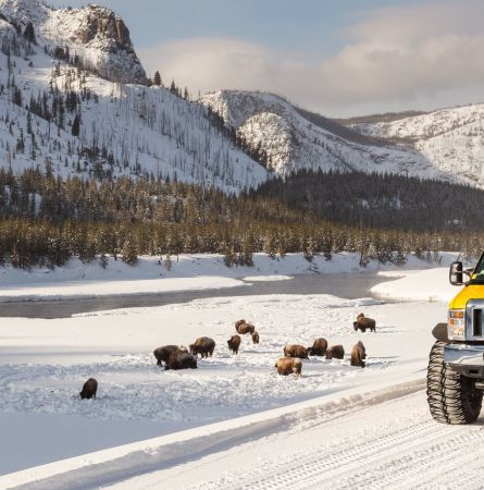 Yellowstone Hot Spot