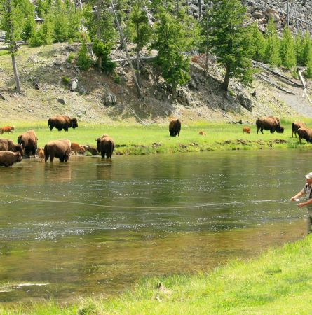 Yellowstone Hot Spot